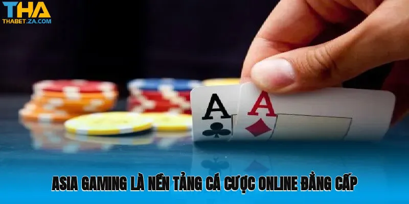 Asia Gaming là nền tảng cá cược online vô cùng đẳng cấp hiện nay